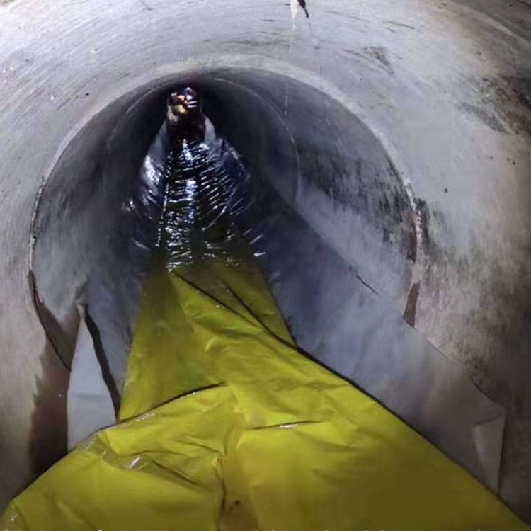 定西管道光固化修复